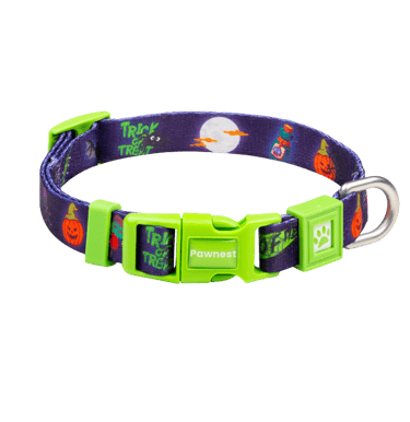 Pawnest® Spoo-Woofy dog collar – Halloween-themed green buckle, durable and stylish.