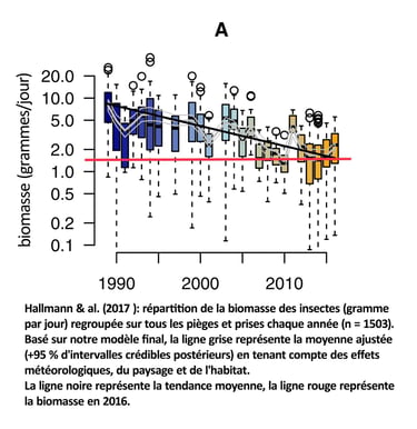 PESTICIDES BIODIVERSITÉ EXTINCTION MASSE INSECTES