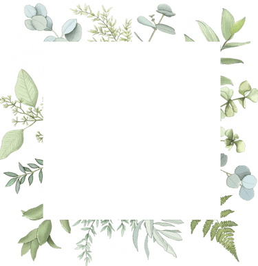 cadre feuilles nature