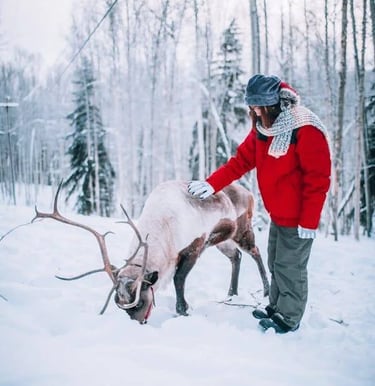 Fairbanks, AK - Several places to visit, pet, and feed reindeer