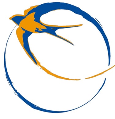 Ocell blau i taronja del logo del esplai sant medir