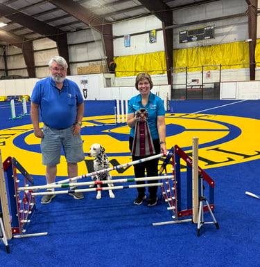 Indoors and Air-Conditioned Turf MACH PACH AKC ISC Agility Trial