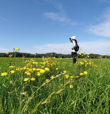 Photo of Alicia Warne in a sunhat and carrying a rucksack while standing in a meadow with yellow flowers on a sunny day