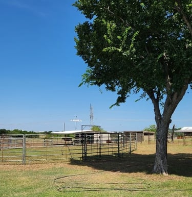 Windy Mane Ranch round pen and pasture boarding