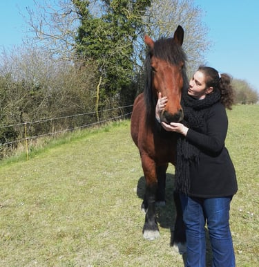 France DANIEL Equithérapeute échange avec son Cheval