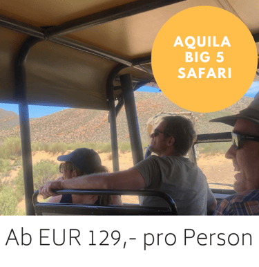 Personen in einem Safarifahrzeug