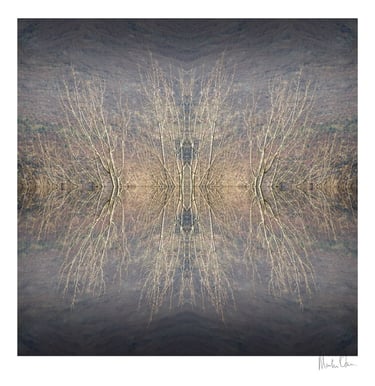 Abstract photographic collage of mirrored trees forming a symmetrical island reflection in soft neutral tones
