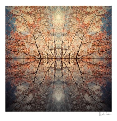 Abstract photographic collage of mirrored autumn trees with warm tones creating a reflective island-like composition