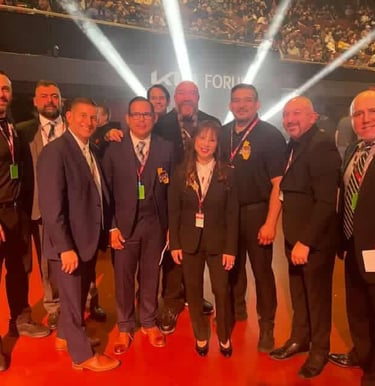 International MMA judge Hadi mohamed ali