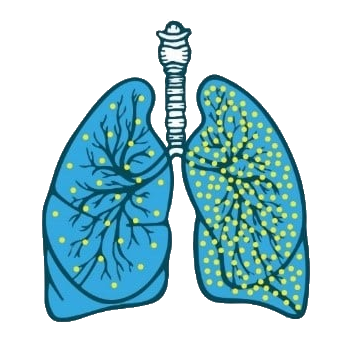 Illustration des poumons montrant les niveaux de molécules d'oxygène avant et après oxygénothérapie