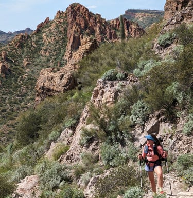 Bugs looking triumphant surrounded by sage and cactus in LaBarge Canyon, Superstition Wilderness.