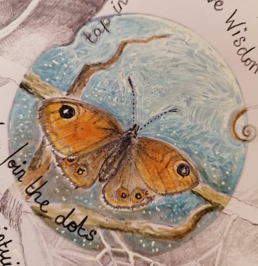detail of butterfly drawing