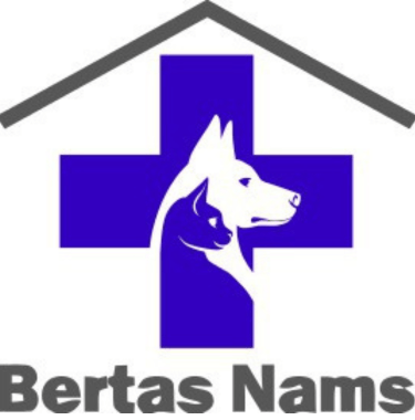 Bertas Nams logo