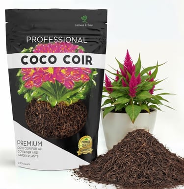  Buffered coco coir used for moisture retention in indoor plant soil mix