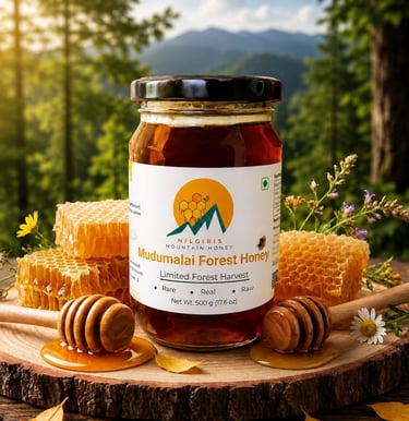 Jar of Mudumalai Forest Honey with honeycombs and wooden dippers on a wood slab in a sunny forest setting.