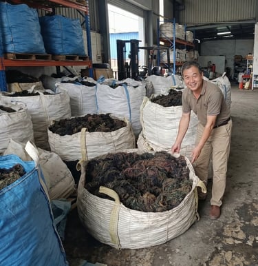 Dried Gracilaria seaweed 15% moisture and 3% impurity for agar-agar, Agriculture and Cosmetics