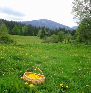Tisanes des Jardins du Mont d'Or avec nos fondues : la digestion parfaite à La Petite Échelle.