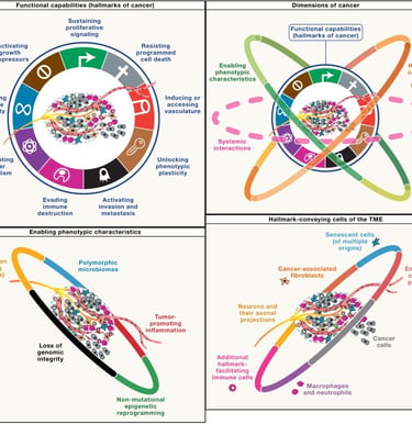 schematics from "Hallmarks of cancer" review