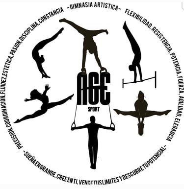 escuela gimnasia artistica deportiva navarra