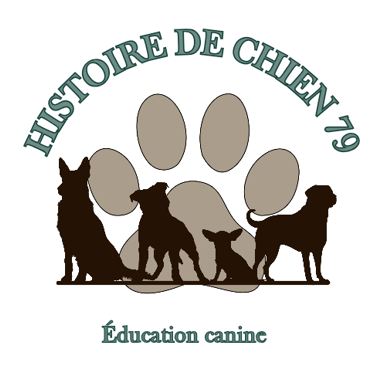 Logo histoire de chien 79 éducateur comportementaliste canin 