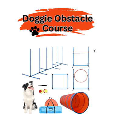 dog obstacle course
