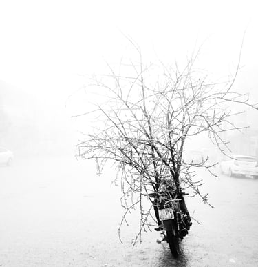 Benoît Daniel-Pham, documentary, street photography, Leica