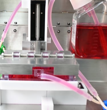 바이오리액터, 신체모사 물리자극, AI 최적화