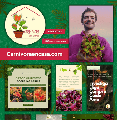Carnívora en casa