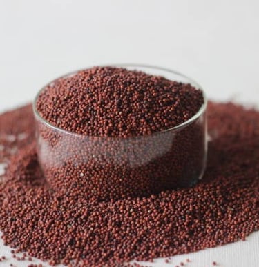 ragi, finger millet