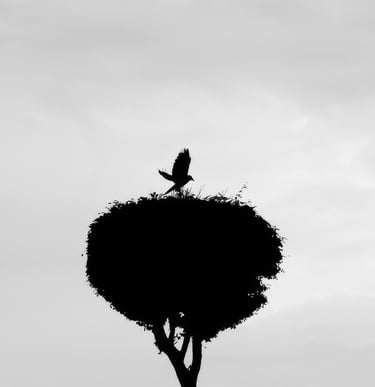 Benoît Daniel-Pham, documentary, street photography, Leica