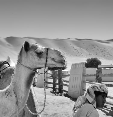 Benoît Daniel-Pham, documentary, street photography, Leica