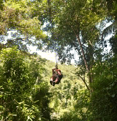 zipline in the jungle of Belize with Jaguar Paw Cave and Jungle Expedition