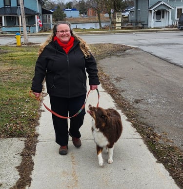 Image of person walking a dog.