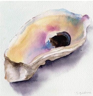 watercolor painting of an oyster shell