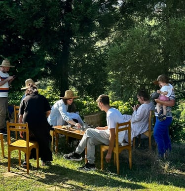 a group of people sitting in the garden have a fun.B&B and Small Hotel Consulting with Timea Pokol