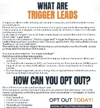 a flyer for a tiger cub cub cub cub cub cub cub cub cub cub cub