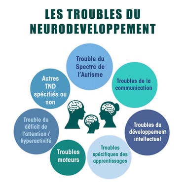 PESTICIDES SANTÉ TROUBLES NEURODEVELOPPEMENT