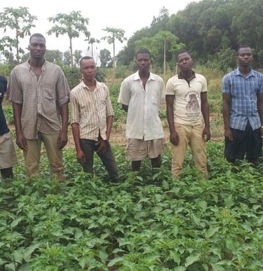 Les jeunes de la ferme d'Emmaüs Pahou qui participent à un programme de réinsertion sociale et pro