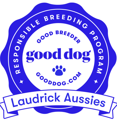 Laudrick Aussies Good dog badge
