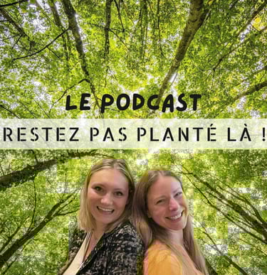 Podcast restez pas planté là