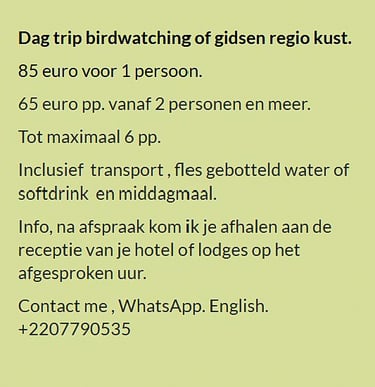 Flyer hele dag vogelkijk- of kusttour in Gambia. Prijs €85 voor 1 persoon of €65 p.p. vanaf 2 person