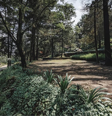 Terraza para eventos 