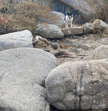 Even Little Gigi was welcomed at Isabella Hot Springs