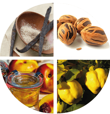 Nez Pineau Blanc (Roue des arômes)