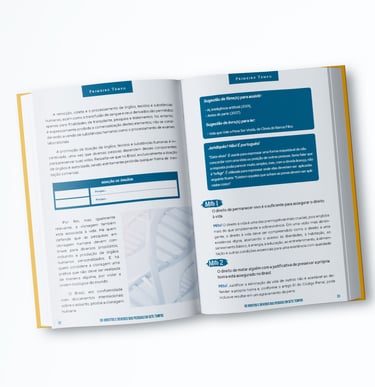 livro ebook falando direito