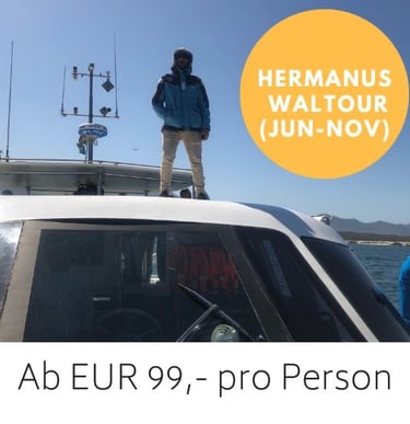 Skipper auf Walbesichtigungsboot