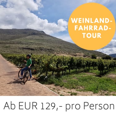 Radler in den Weinbergen um Franschhoek