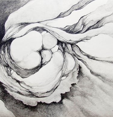 "Ahdunnoh" Graphite on Paper $250