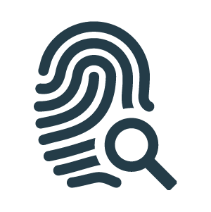 Seguridad Complementaria