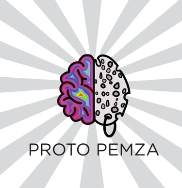 proto pemza logotype